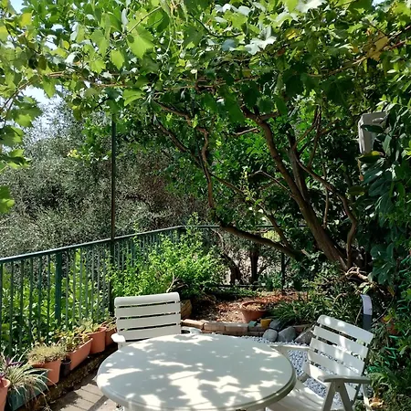 Apartment Lemon Monterosso - 5 Terre Monterosso al Mare